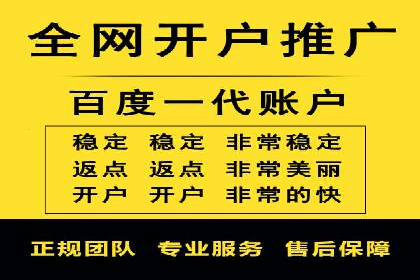 百度竞价代理操作手册：成功案例分析